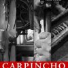 carpincho-juan-carlos-virgilio-cuentos-2013